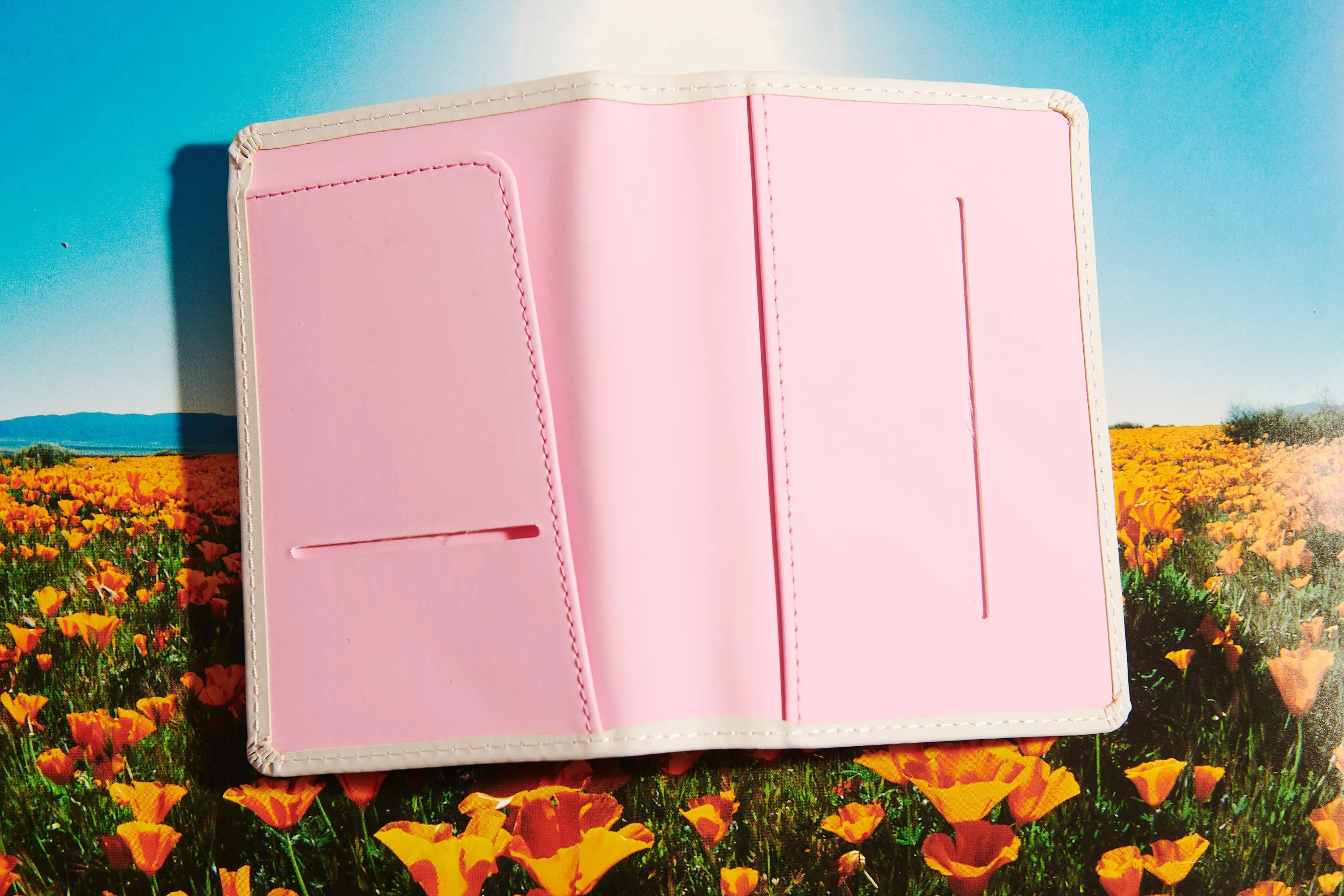 BERKLEY BESTIARY RAINBOW KITTEN PASSPORT COVER