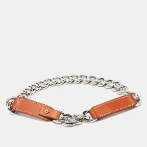 Brown Barenia Leather Chain Dog Collar