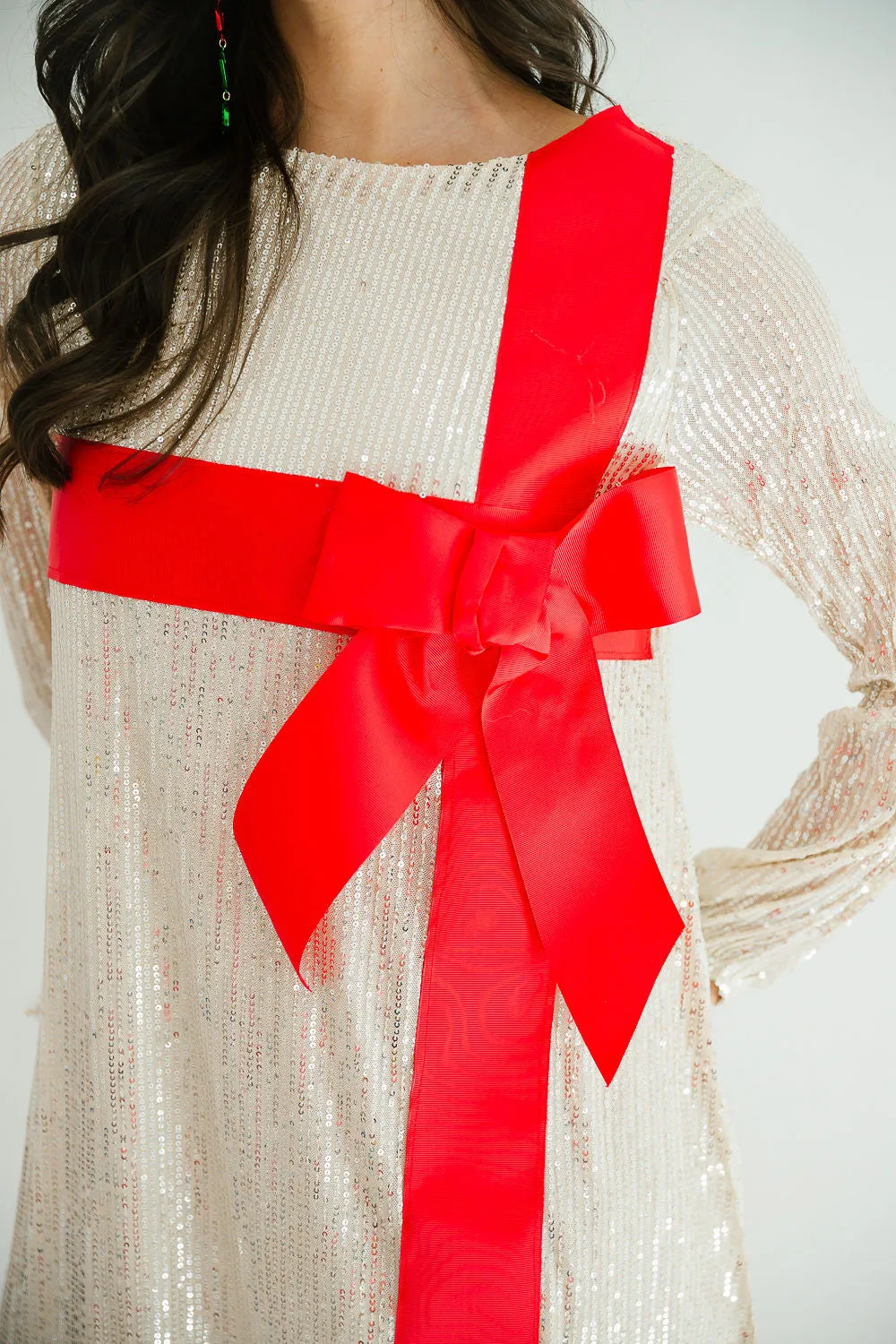 HOLIDAY SEASON SEQUIN LONG-SLEEVE DRESS